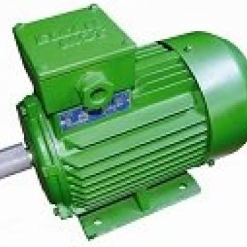 NORM MOTOR (ELSANMOT)