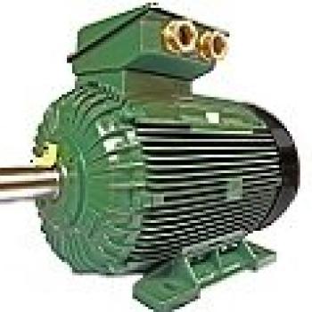 NORM MOTOR