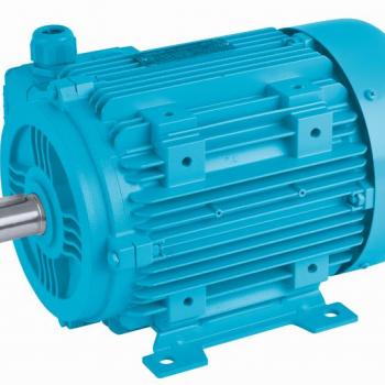 400V 50Hz (6P) 1000 d/d - IE2 Yüksek Verimli Elektrik Motorları